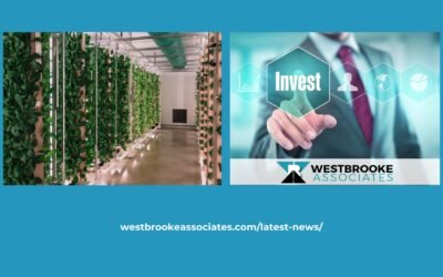 WESTBROOKE ASSOCIATES REVIEW: PAVING THE WAY FOR ANOTHER SUCCESS AS IAG LISTS ON JP JENKINS